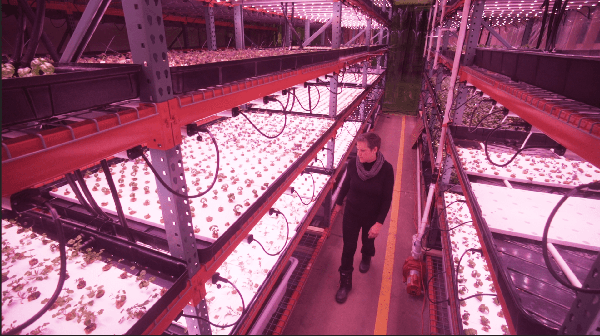 01-Vertical-farming-in-Islandview